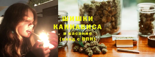 сатива Михайлов