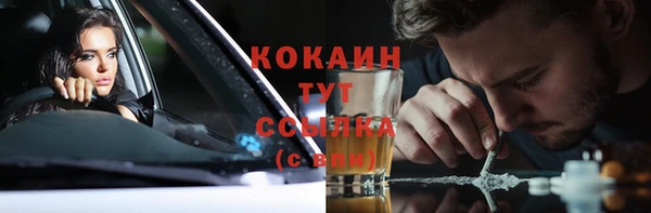 гидра Михайловка