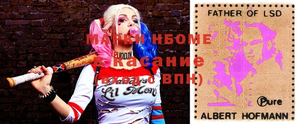 гидра Михайловка