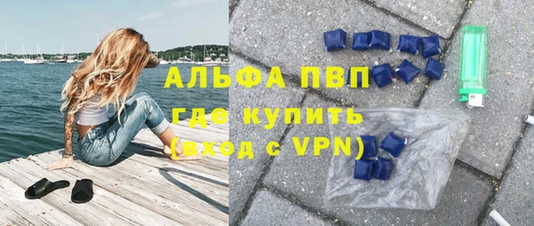 гидра Михайловка