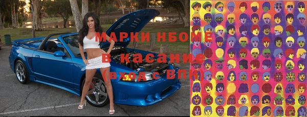 гидра Михайловка