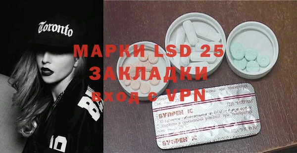 гидра Михайловка