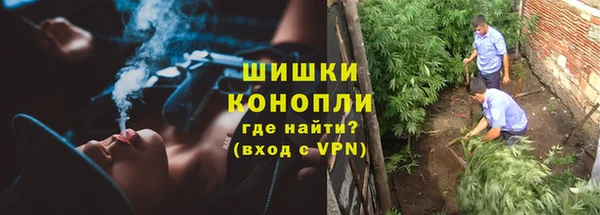 гидра Михайловка