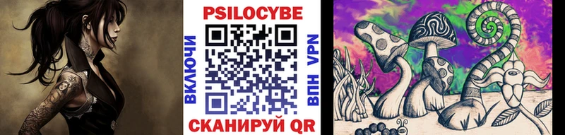 Псилоцибиновые грибы мицелий  где продают наркотики  это состав  Пятигорск 